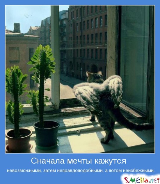 Сначала мечты кажутся невозможными, затем неправдоподобными, а потом неизбежными