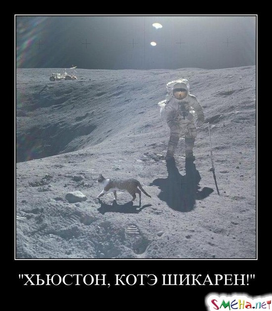 "ХЬЮСТОН, КОТЭ ШИКАРЕН!"