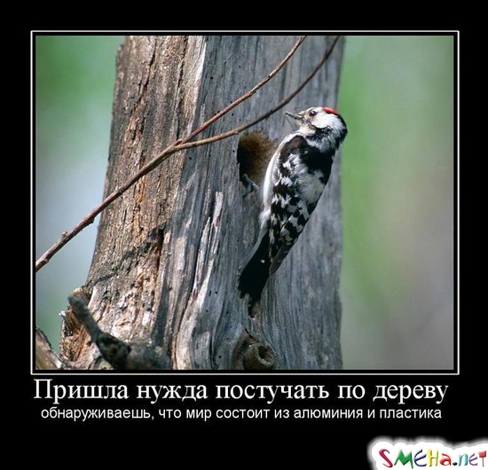 Пришла нужда постучать по дереву - обнаруживаешь, что мир состоит из алюминия и пластика