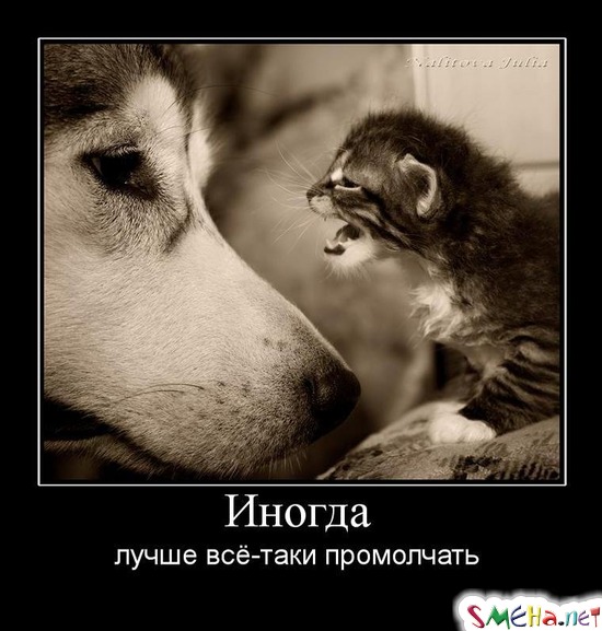 Иногда - лучше всё-таки промолчать
