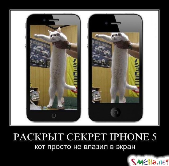 РАСКРЫТ СЕКРЕТ IPHONE 5 - кот просто не влазил в экран