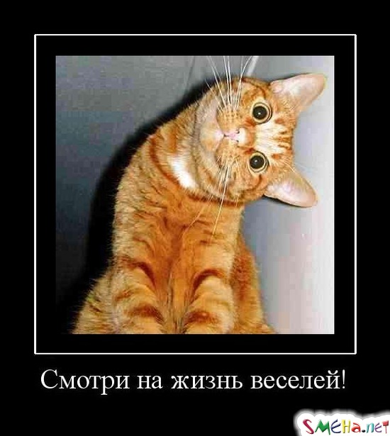 Смотри на жизнь веселей!