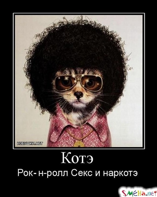 Котэ Рок-н-ролл Секс и наркотэ
