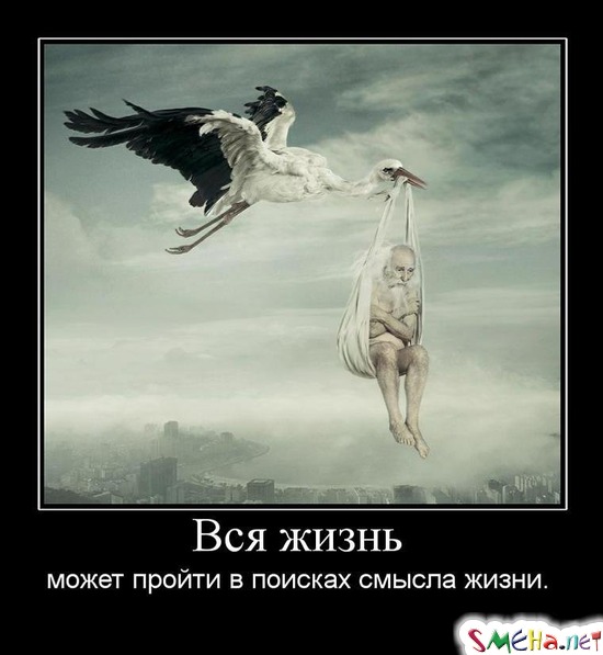 Вся жизнь - может пройти в поисках смысла жизни.