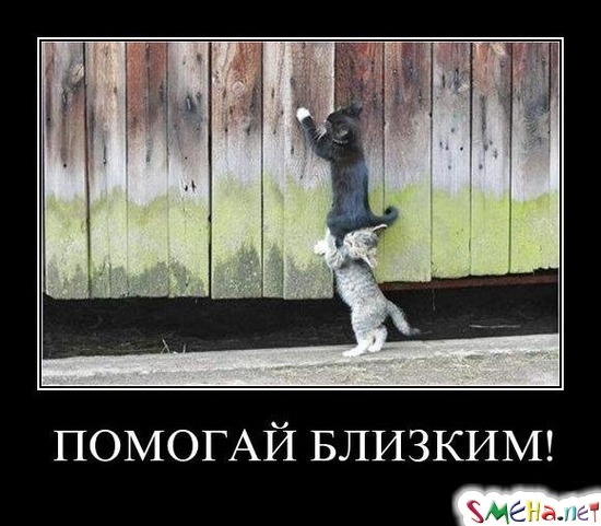 ПОМОГАЙ БЛИЗКИМ!