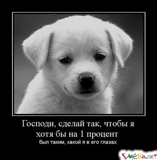 Господи, сделай так, чтобы я хотя бы на 1 процент - был таким, какой я в его глазах