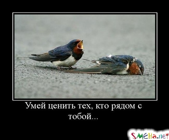 Умей ценить тех, кто рядом с тобой...