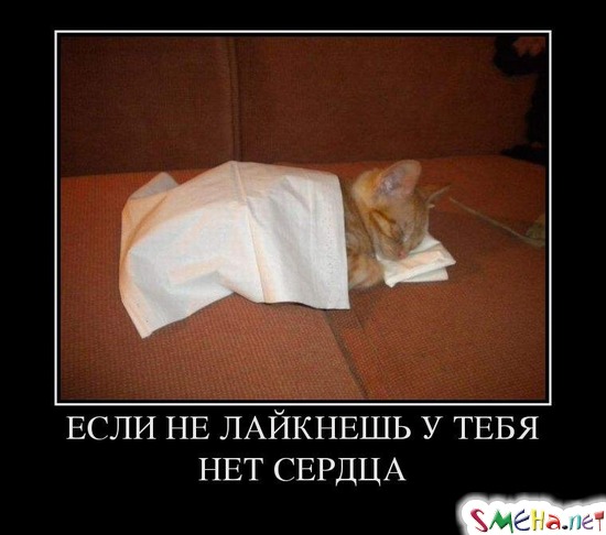 ЕСЛИ НЕ ЛАЙКНЕШЬ У ТЕБЯ НЕТ СЕРДЦА