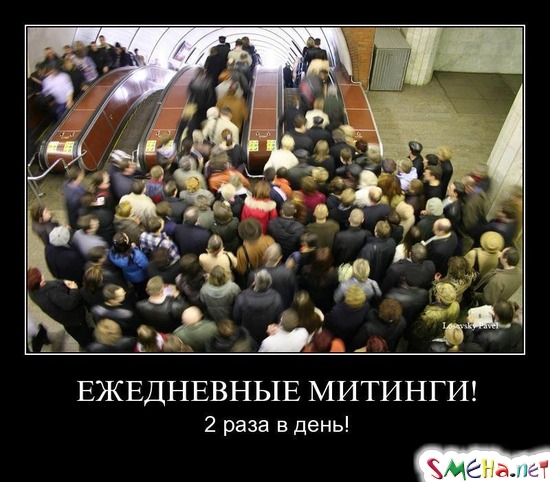 ЕЖЕДНЕВНЫЕ МИТИНГИ! - 2 раза в день!