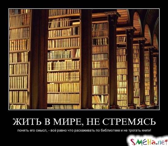ЖИТЬ В МИРЕ, НЕ СТРЕМЯСЬ - понять его смысл, - всё равно что расхаживать по библиотеке и не трогать книги!