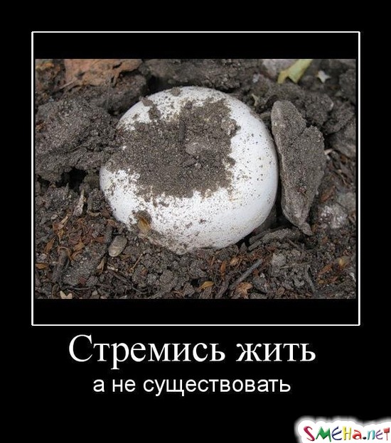 Стремись жить - а не существовать