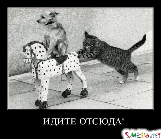 ИДИТЕ ОТСЮДА!