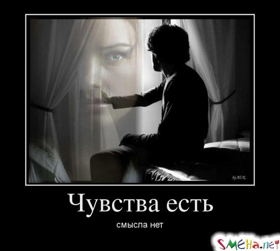 Чувства есть - смысла нет