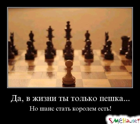 Да, в жизни ты только пешка... - Но шанс стать королем есть!