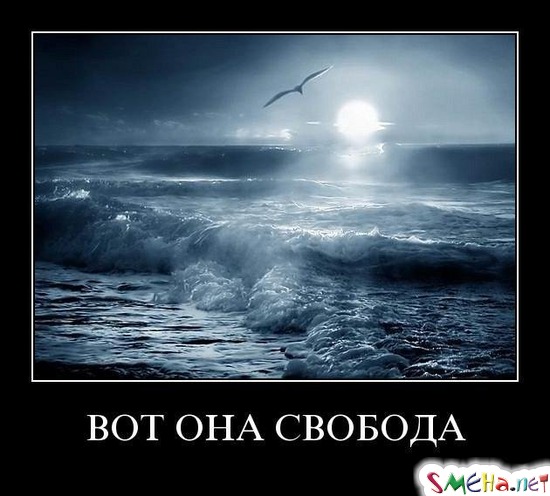 ВОТ ОНА СВОБОДА
