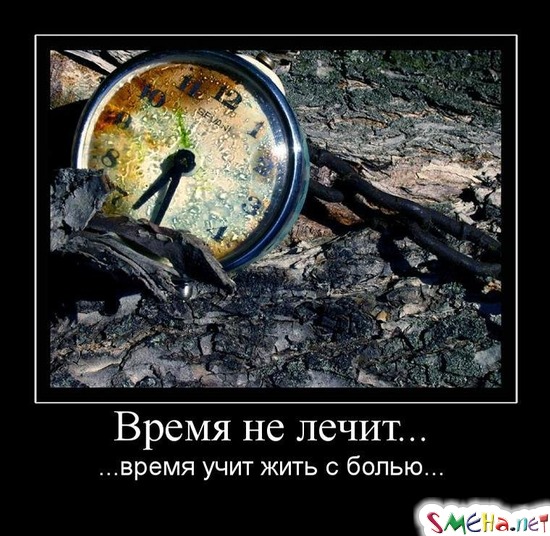 Время не лечит... - ...время учит жить с болью...