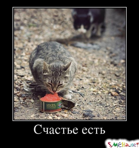 Счастье есть