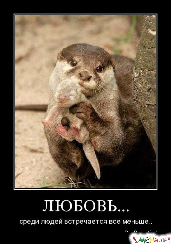 ЛЮБОВЬ... - среди людей встречается всё меньше..