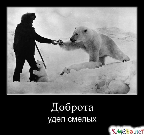Доброта - удел смелых