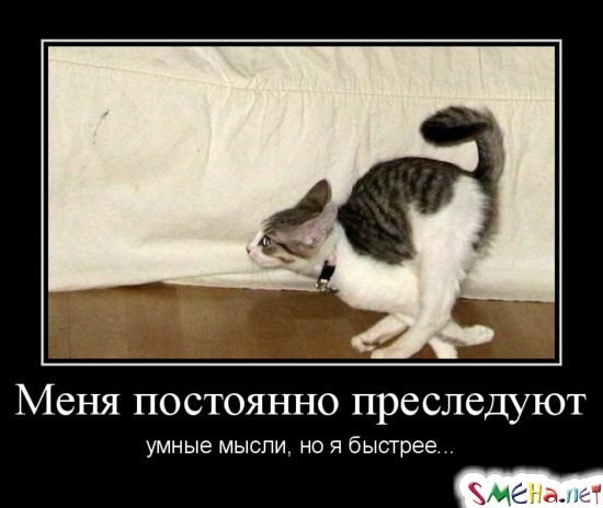 Меня постоянно преследуют умные мысли, но я быстрее...