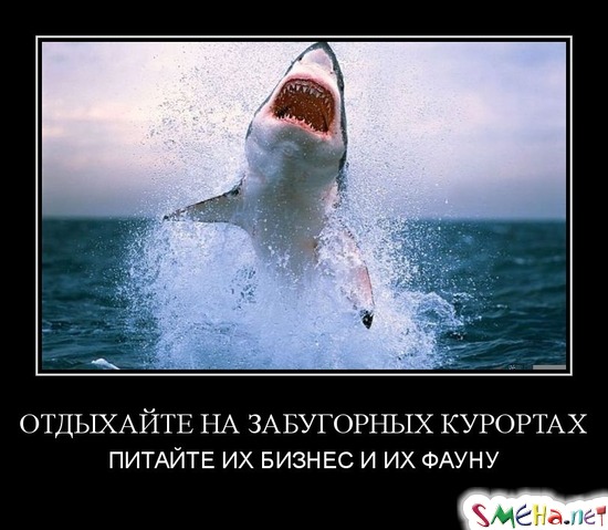 ОТДЫХАЙТЕ НА ЗАБУГОРНЫХ КУРОРТАХ - ПИТАЙТЕ ИХ БИЗНЕС И ИХ ФАУНУ