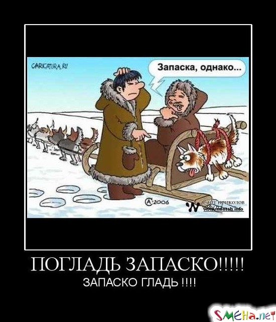 ПОГЛАДЬ ЗАПАСКО!!!!! ЗАПАСКО ГЛАДЬ!!!!