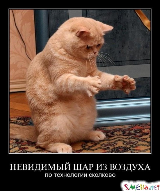 НЕВИДИМЫЙ ШАР ИЗ ВОЗДУХА - по технологии сколково
