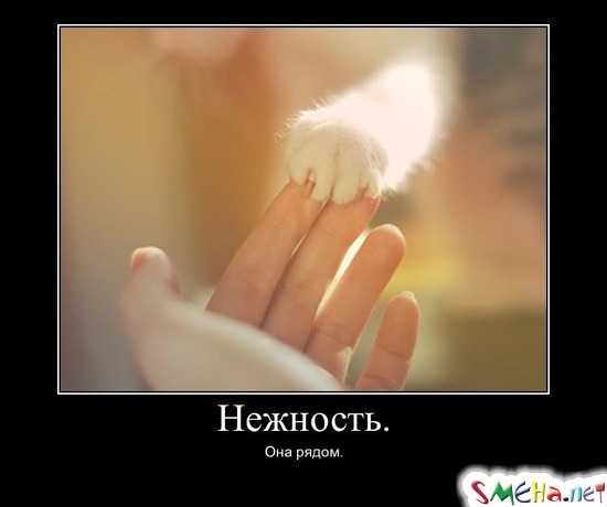 Нежность. - Она рядом.