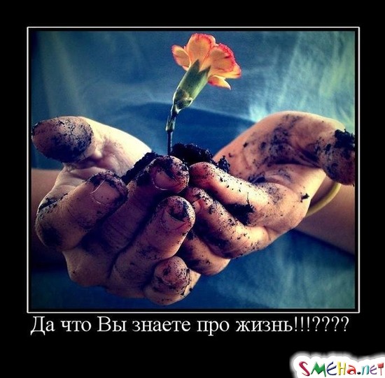 Да что Вы знаете про жизнь!!!