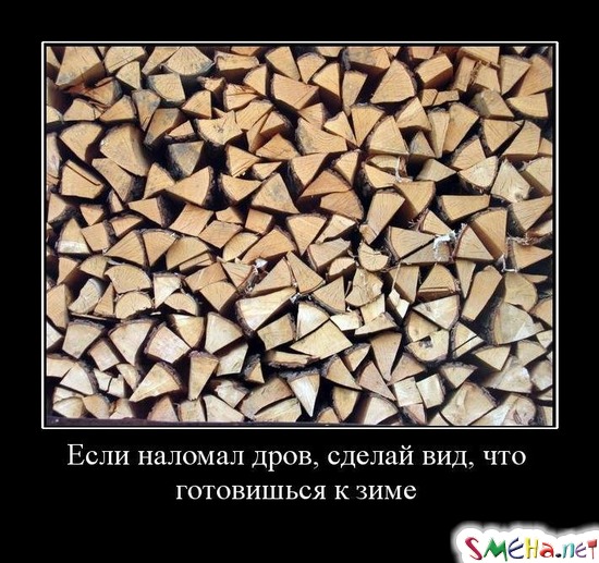 Если наломал дров, сделай вид, что готовишься к зиме