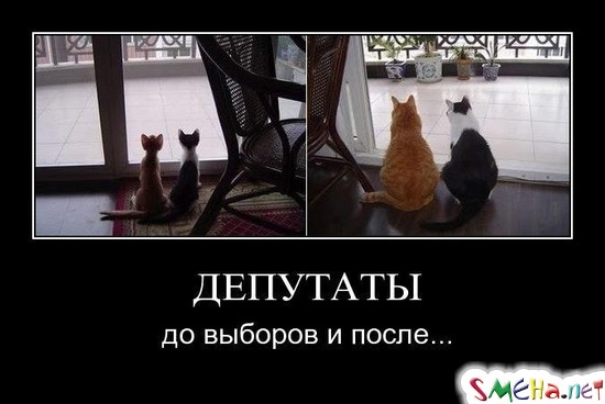 ДЕПУТАТЫ - до выборов и после