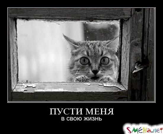 ПУСТИ МЕНЯ - в свою жизнь