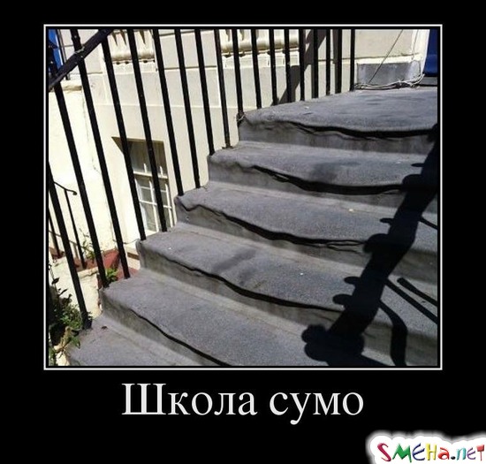 Школа сумо