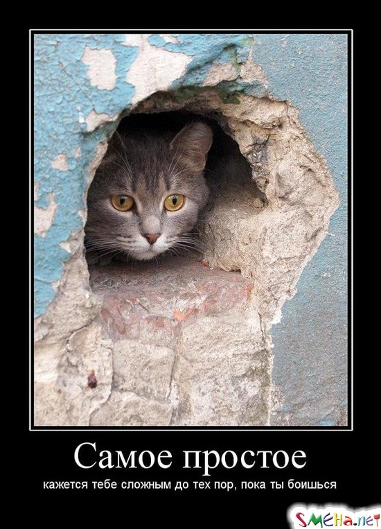 Самое простое - кажется тебе сложным до тех пор, пока ты боишься