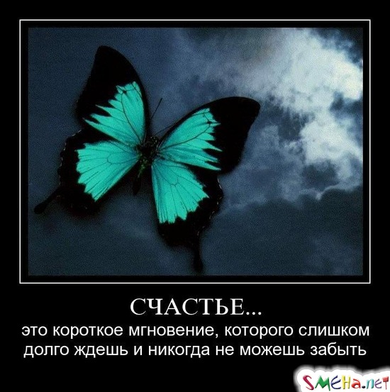 СЧАСТЬЕ... - это короткое мгновение, которого слишком долго ждешь и никогда не можешь забыть