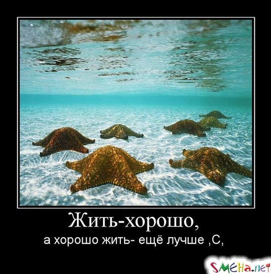Жить-хорошо, а хорошо жить- ещё лучше ,С,