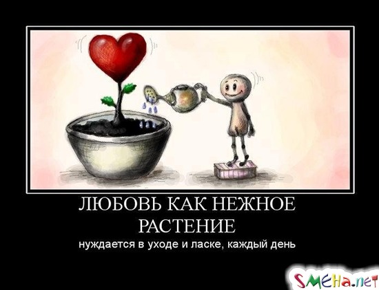 Любовь как нежное растение - нуждается в уходе и ласке, каждый день