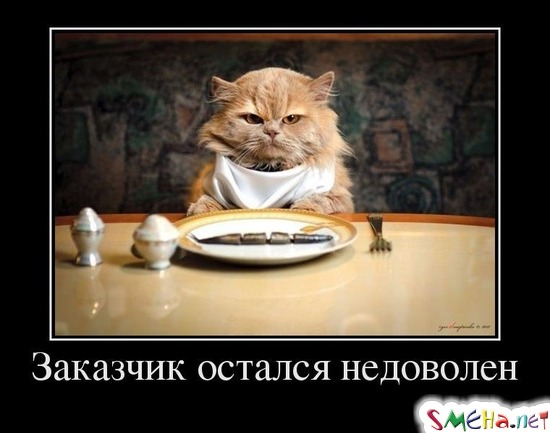 Заказчик остался недоволен