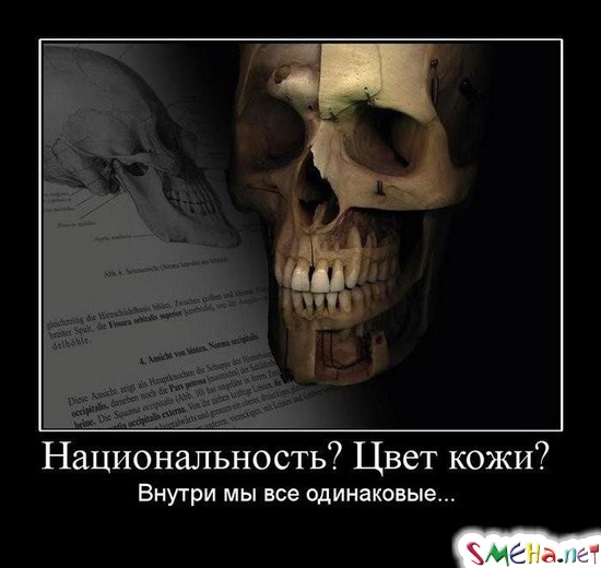 Национальность Цвет кожи? - Внутри мы все одинаковые...