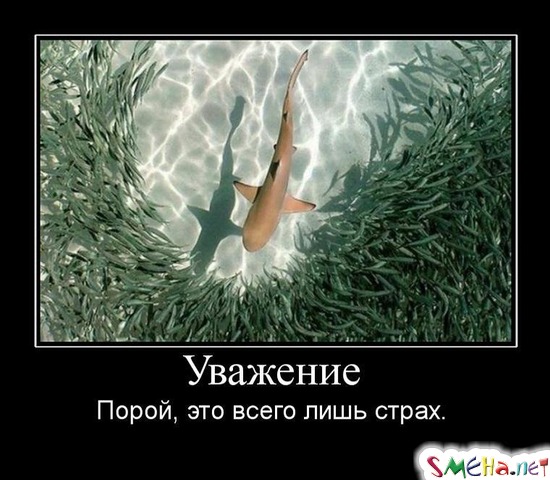 Уважение - Порой, это всего лишь страх.