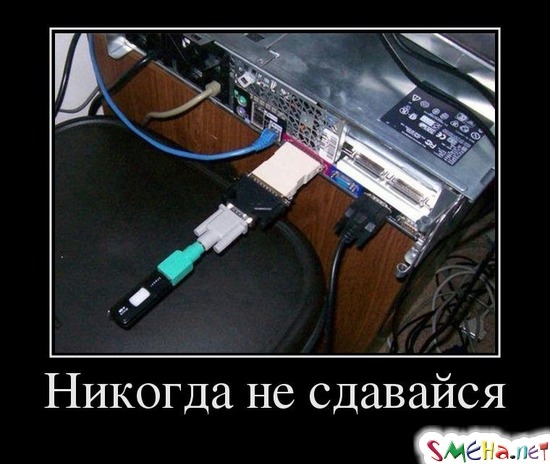 Никогда не сдавайся