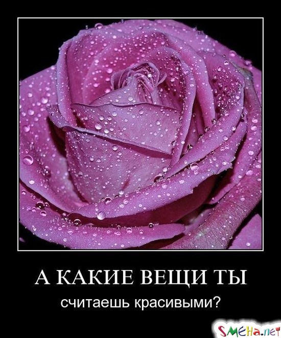 А КАКИЕ ВЕЩИ ТЫ - считаешь красивыми?