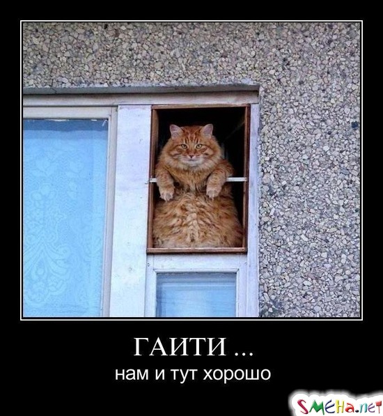 ГАИТИ ... - нам и тут хорошо