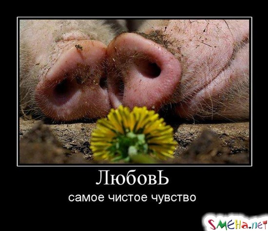 ЛюбовЬ - самое чистое чувство