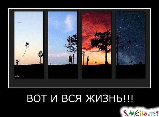ВОТ И ВСЯ ЖИЗНЬ!!!