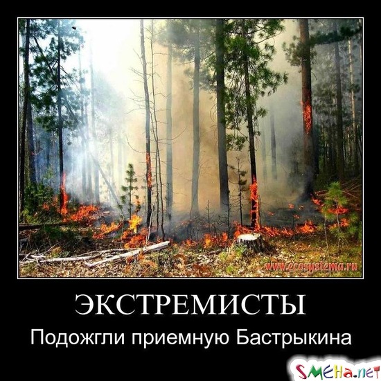 ЭКСТРЕМИСТЫ - Подожгли приемную Бастрыкина