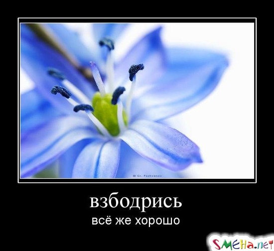 взбодрись - всё же хорошо