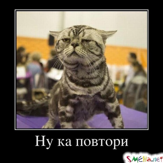 Ну ка повтори