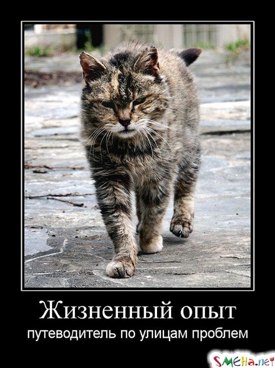 Жизненный опыт - путеводитель по улицам проблем