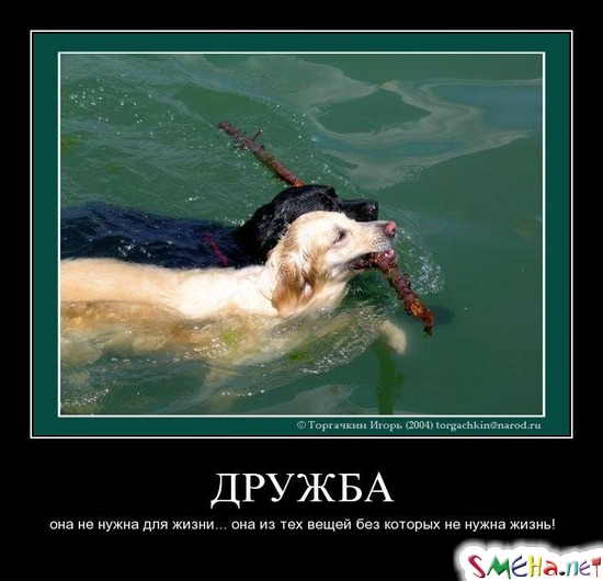 ДРУЖБА - она не нужна для жизни... она из тех вещей без которых не нужна жизнь!